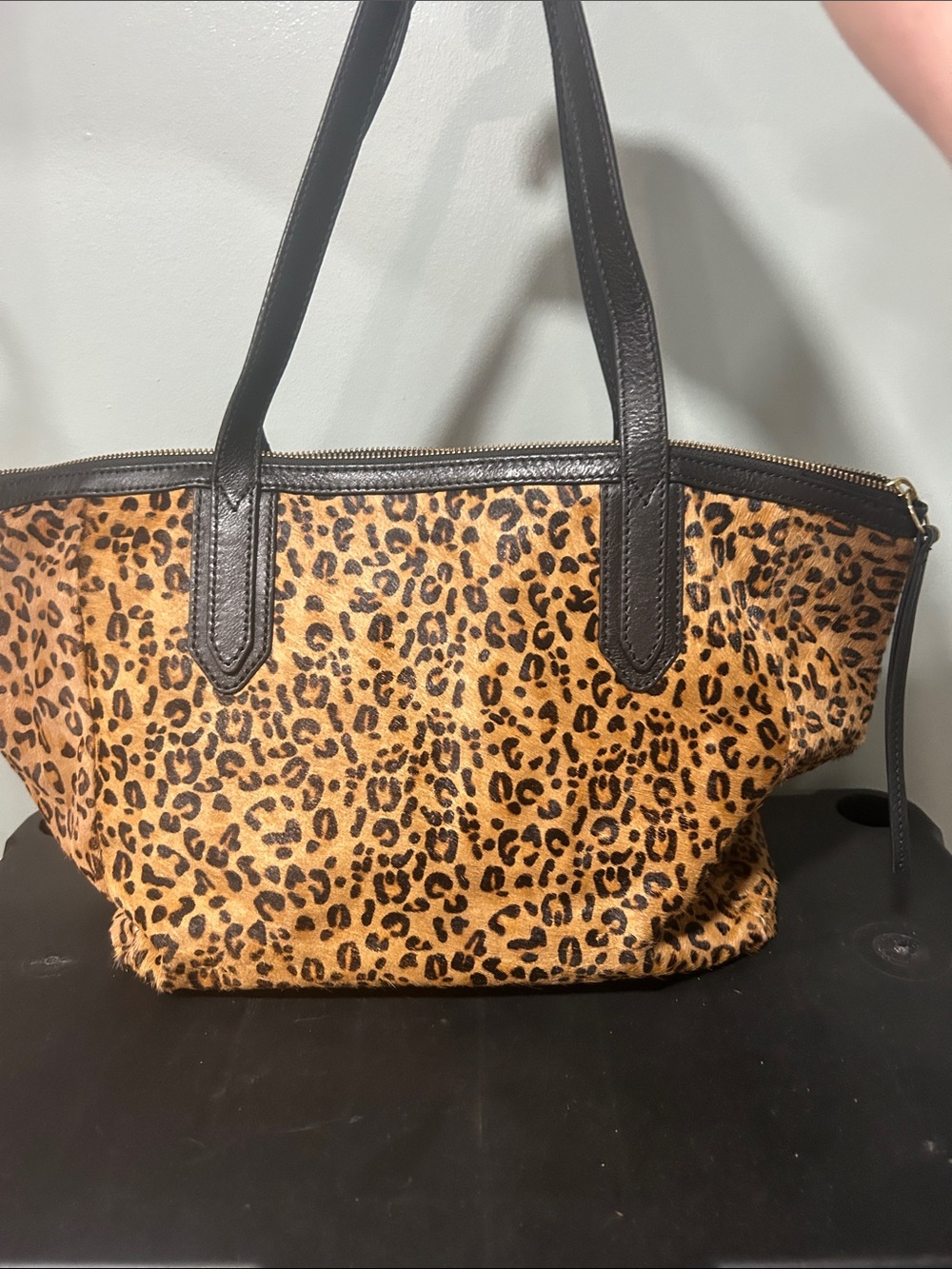 Fossil cheetah print cow hair
